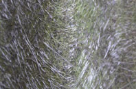 Highland fibreglass roof work